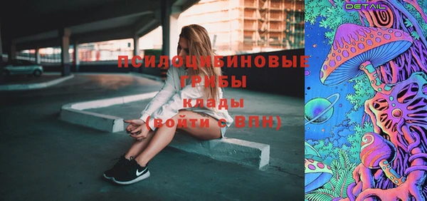 спиды Елизово