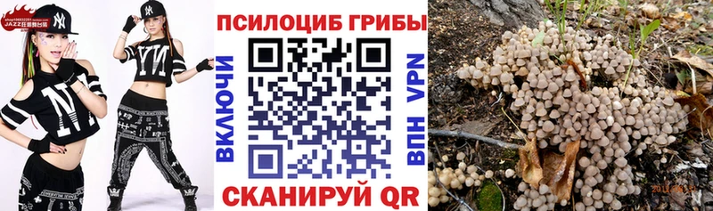 Галлюциногенные грибы GOLDEN TEACHER  Салаир 
